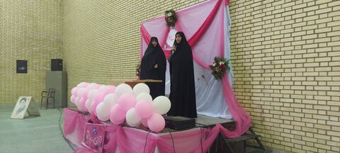 تصاویر/برگزاری جشن میلاد امام رضا (ع)در دلیجان