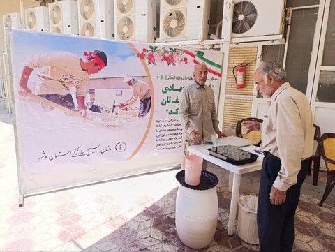 آیین عبادی سیاسی نمازجمعه بوشهر به روایت تصاویر