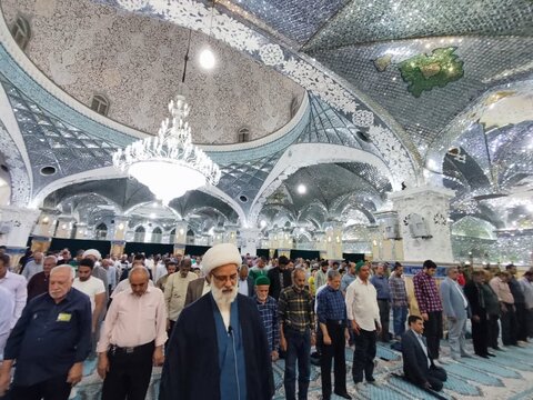 تصاویر/جشن میلاد علی بن موسی الرضا (ع) در آستان علی بن باقر(ع)
