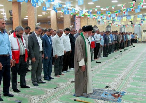 تصاویر/ جشن امام رضایی‌ها در دیّر