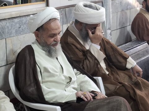 تصاویر/ جشن میلاد امام رضا(ع)از طرف نماینده مقام معظم رهبری در منطقه کاشان