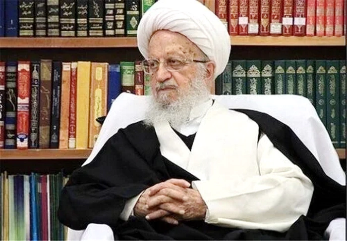 مرجعیت شیعه مستقل است و انتظار کمک از دولت ندارد / حوزه علمیه پشتیبان مردم و دولت است