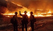 कब्ज़े वाले फ़िलिस्तीन के उत्तरी इलाक़ों में बड़े पैमाने पर आग लगने की घटना समाने आई है