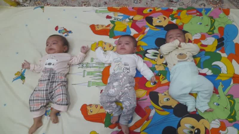 جوانی جمعیت؛ تجلیل کارکنان مدرسه علمیه الزهرا(س) میبد از خانوادهای که صاحب سهقلو شدند