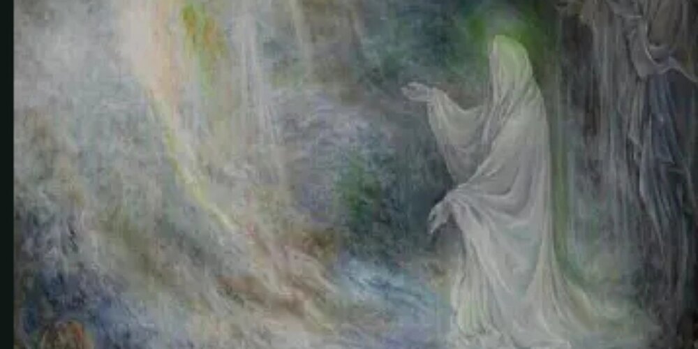 تجلیل امیرالمؤمنین (ع) از علامه امینی در عالم رؤیا