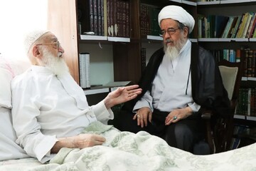 عیادت حجت الاسلام والمسلمین صافی‌گلپایگانی از آیت‌الله العظمی نوری‌همدانی