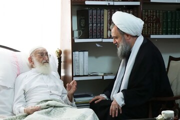 عیادت استاد هادوی تهرانی از آیت الله العظمی نوری همدانی