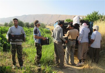 گروه های جهادی؛ تسهیلگران رونق اقتصادی کشور / سرمایه گذاری برای تولید و لزوم بهره‌گیری از ظرفیت جهادگران