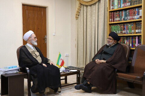 Imágenes / Encuentro del Huyyatul Islam wal Muslimeen Sayyed Aftab Haider, uno de los eruditos de Sudáfrica con el Ayatolá A'rafi