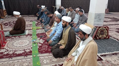 تصاویر/ حضور امام جمعه برازجان در جمع اهالی روستای درودگاه