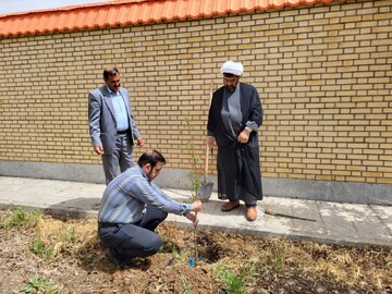 تصاویر/ کاشت نهال در حیاط مدرسه علمیه فاطمیه ابهر