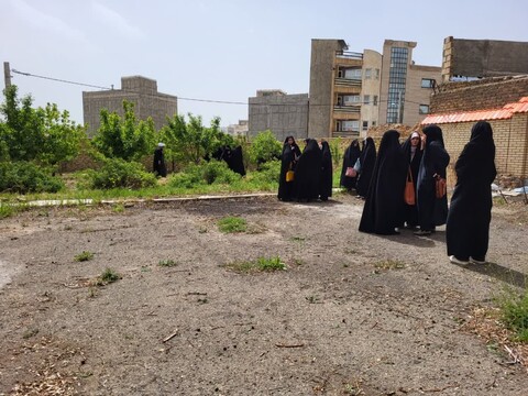 تصاویر/ کاشت نهال در حیاط مدرسه علمیه فاطمیه ابهر