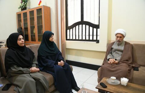 تصاویر| دیدار رئیس سازمان محیط‌زیست کشور با حجت الاسلام والمسلمین دژکام