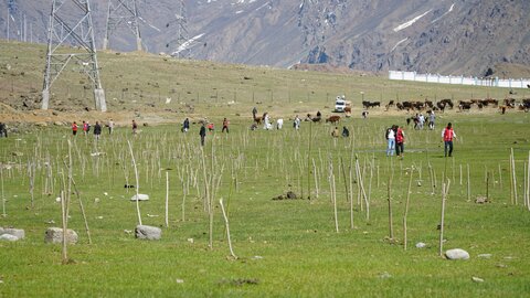 ال حمیٰ لایا گرین مشن کی طرف سے کرگل میں 1 لاکھ پچیس سو سے زائد پودے لگا کر تاریخی درخت کاری مہم کا آغاز کردیا