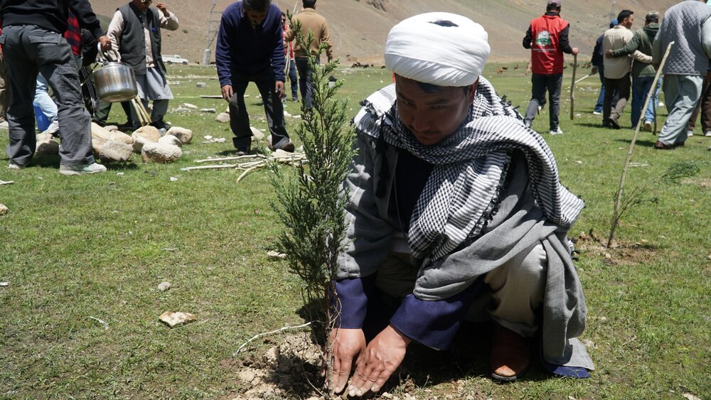 ال حمیٰ لایا گرین مشن اینڈ ریسرچ سینٹر نے ایک لاکھ شجرکاری مہم کامیابی سے مکمل کرلی