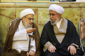 تصاویر/ مراسم بزرگداشت مرحوم حجت‌الاسلام نقده‌دوزان