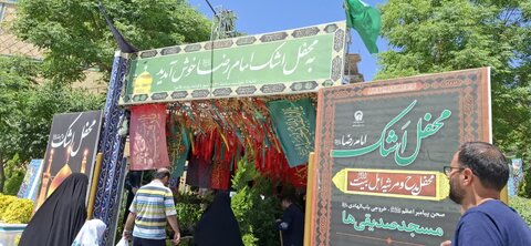 تصاویر/اردوی زیارتی مشهد مقدس ویژه طلاب مدرسه علمیه الزهرا اراک