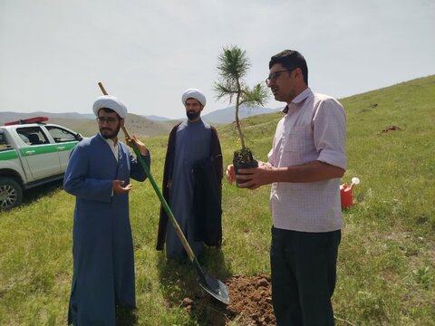 تصاویر/ کاشت نهال به همت مدرسه علمیه نقده