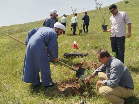 تصاویر/ کاشت نهال به همت مدرسه علمیه نقده