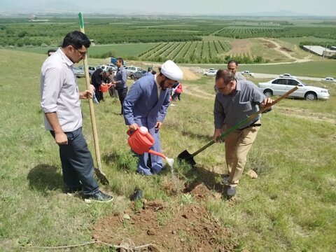 تصاویر/ کاشت نهال به همت مدرسه علمیه نقده