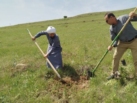 تصاویر/ کاشت نهال به همت مدرسه علمیه نقده