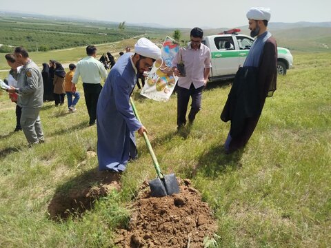 تصاویر/ کاشت نهال به همت مدرسه علمیه نقده