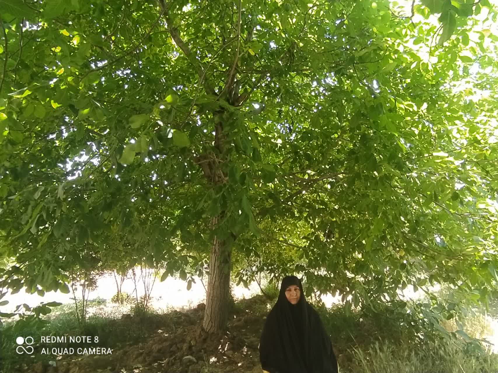 دحو الارض؛ روز گسترش رحمت الهی و فرصتی برای خودسازی