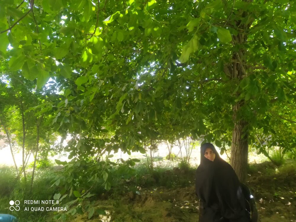 آثار هنری با موضوع زندگی و اندیشه‌های ملاصدرا تولید شود