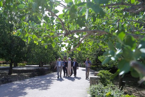 تصاویر / بازدید امام جمعه قزوین از پروژه های شهرداری قزوین