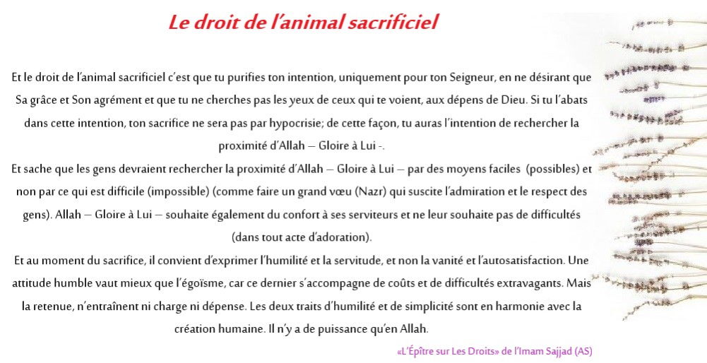 Intégrer l’éthique au quotidien avec l’Épître sur Les Droits de l’Imam Sajjad (as) (partie 17)
