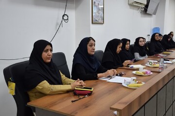 تصاویر/ کارگاه جوانی جمعیت در برازجان