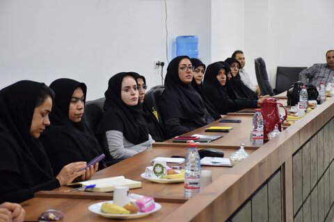 تصاویر/ کارگاه جوانی جمعیت در برازجان