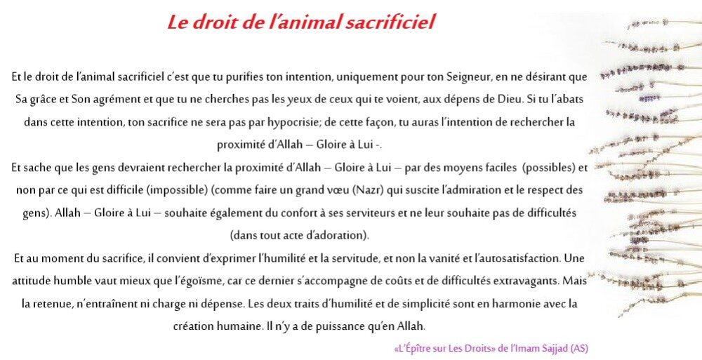 Intégrer l’éthique au quotidien avec l’Épître sur Les Droits de l’Imam Sajjad (as) (partie 17)
