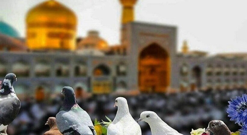 Días especiales para visitar al Imam Reza (P)