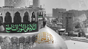 بالفيديو/ قصيدة "يا أيها الجواد"