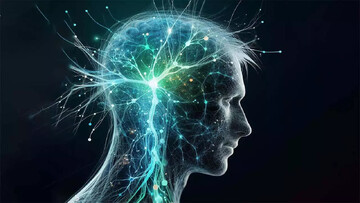 نشست آشنایی مقدماتی با عصب‌شناسی دین برگزار می‌شود