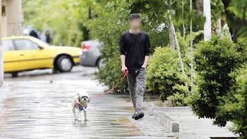 اسلام درباره نگهداری حیوانات خانگی چه می‌گوید؟