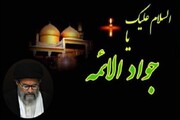 امام محمد تقی (ع) نے فریضۂ امامت انتہائی ذمہ داری، حکمت عملی اور بصیرت کے ساتھ انجام دیا