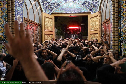 Photos/ Sanctuaire de Hazrat Masoumeh (psl) la nuit de l'anniversaire du martyre de l'Imam Javad (psl)