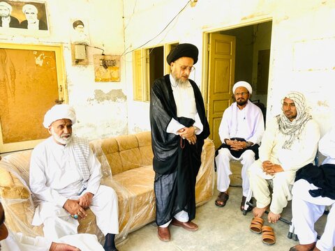 شیعہ علماء کونسل کے مرکزی نائب صدر کا دورۂ ڈیرہ اسماعیل خان؛ علماء کے ساتھ اہم نشست