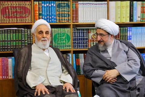 تصاویر | دیدار حجت الاسلام والمسلمین ناطق نوری با نماینده ولی فقیه در استان