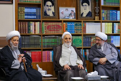 تصاویر | دیدار حجت الاسلام والمسلمین ناطق نوری با نماینده ولی فقیه در استان