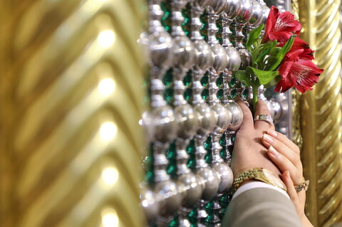 تصاویر/ جشن ازدواج ۳۲۵ زوج جوان در حرم حضرت فاطمه معصومه (س)