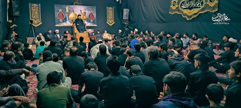 آئمہ معصومین (ع) کا علمی مقام نہ صرف شیعہ حلقوں میں بلکہ اہل سنت علماء کے ہاں بھی مسلمہ حیثیت رکھتا ہے، مولانا سید علی اکبر حسینی