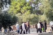 تصعيد غير مسبوق.. مستوطنون يقتحمون الأقصى بقربان من اللحم