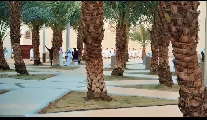 Rebirth: Everything Begins Here in Medina