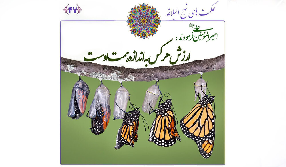 راز شجاعت و عفت واقعی چیست؟ پاسخ در حکمت ۴۷ نهج البلاغه