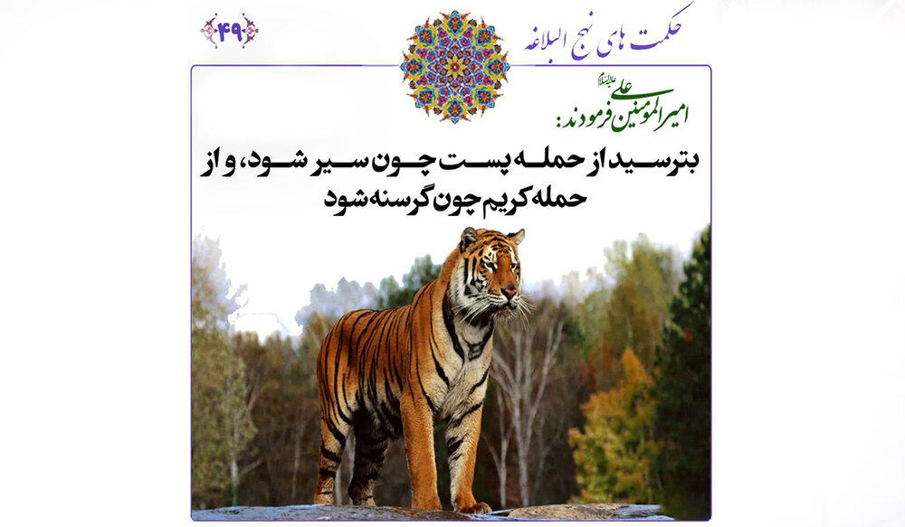 بترسید از گرسنگی کریم و سیری لئیم!