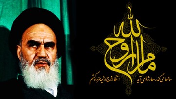 نکاتی از آیت‌الله شبیری زنجانی در مورد امام خمینی (ره)