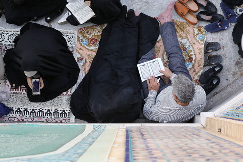 تصاویر/  قرائت دعای عرفه در حرم حضرت معصومه (س)